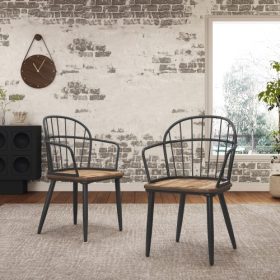 Indoor Dining Chair With Metal Legs Set Of 2,Light Birch (Option: Black Natural)