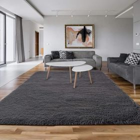 Fluffy Luxury Large Area Rug, Non-Skid Fleece Carpets For Bedroom,Living Kids Room , Soft Plush Furry, Floor Rug 5x7 Feet, Grey,Washable (Option: Gray)